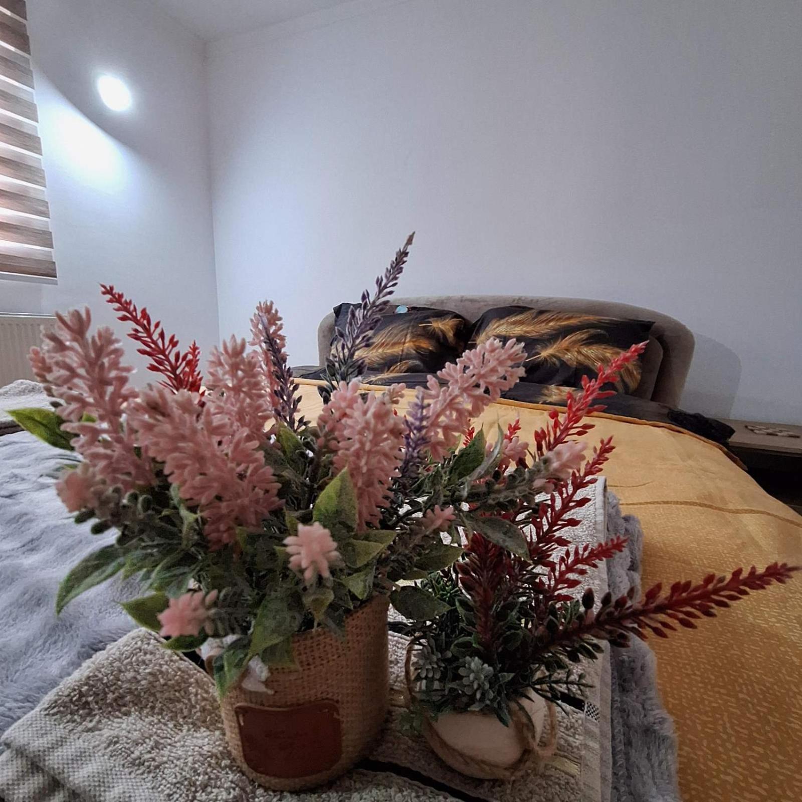 Apartment "Mira" Фоча Екстер'єр фото
